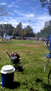 Charles Clor park independence day 2019
