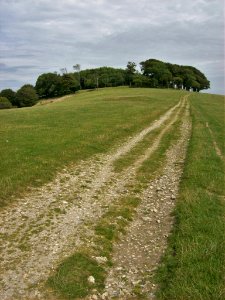 Chanctonbury Ring 4