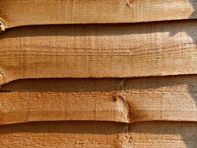Wood slabs natural