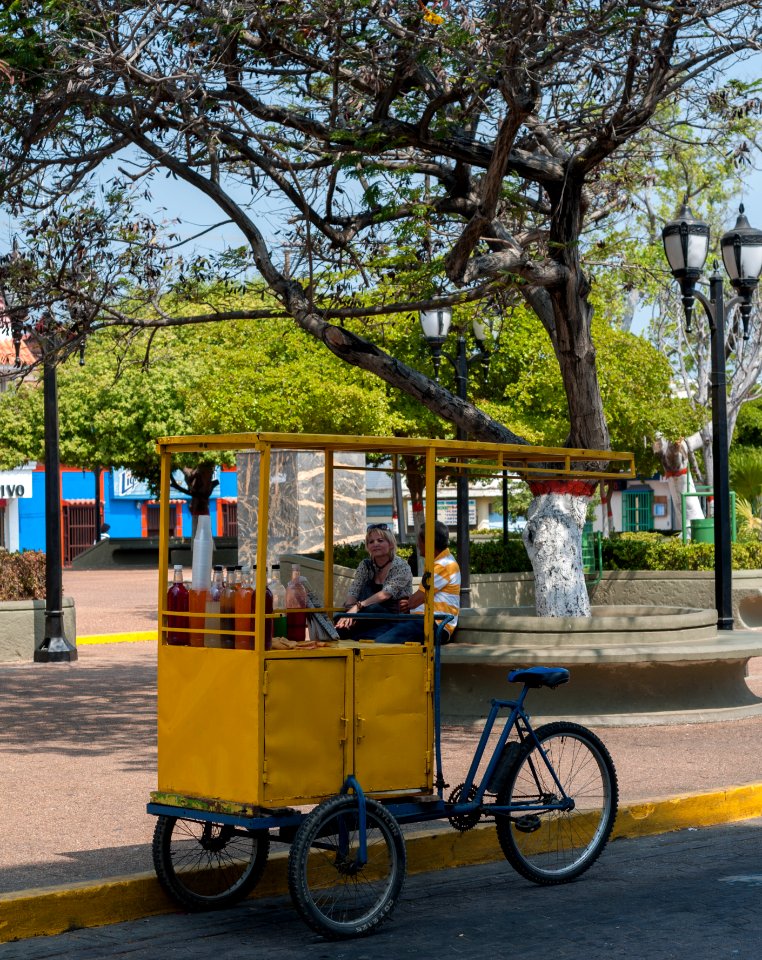 Cepillao selling truck in the ports of Altagracia
