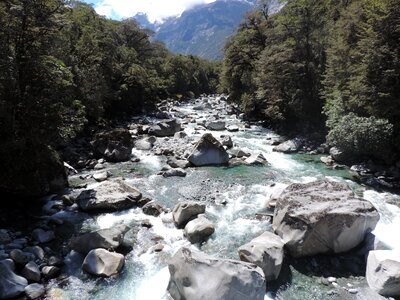 Fluent nature new zealand