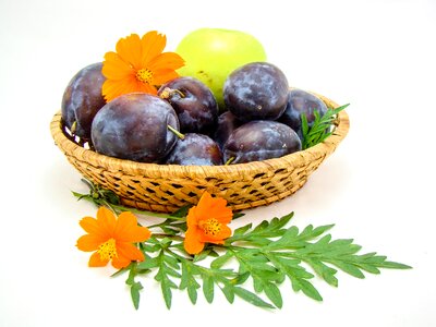 Plum apple white background photo