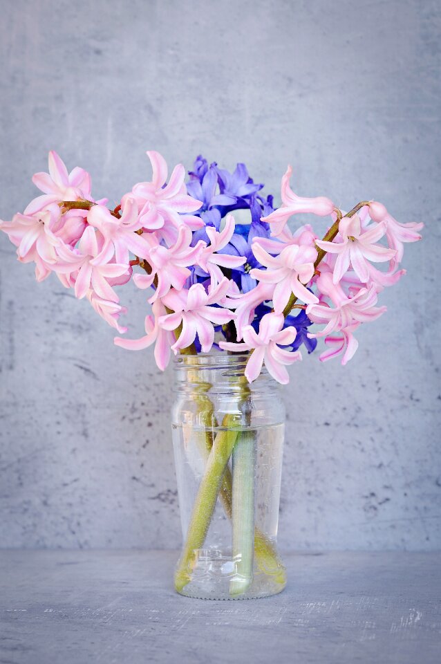 Flower pink flower blue flower