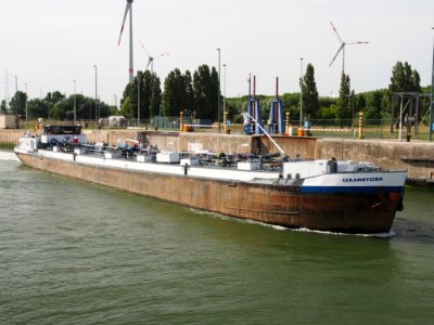 Cerambycida - ENI 06002560, Zandvlietsluis, Port of Antwerp pic3