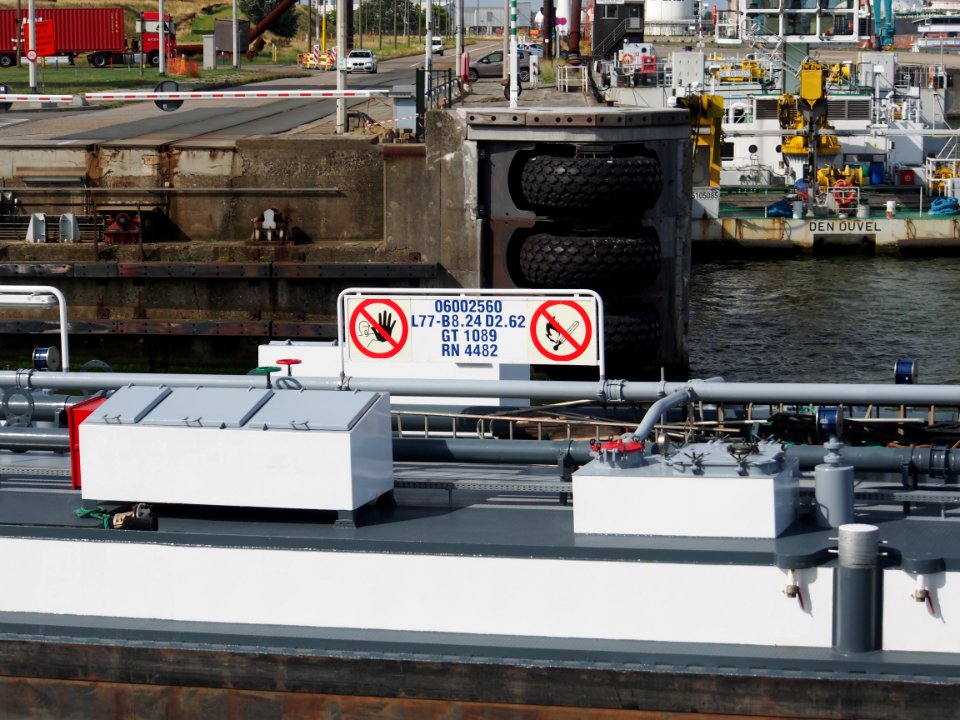 Cerambycida - ENI 06002560, Zandvlietsluis, Port of Antwerp pic5