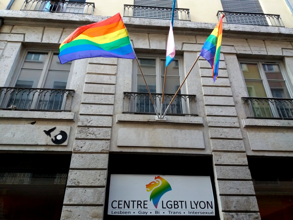Centre LGBTI Lyon - Pancarte et drapeaux