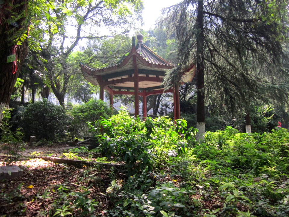 Central South University of Forestry and Technology12