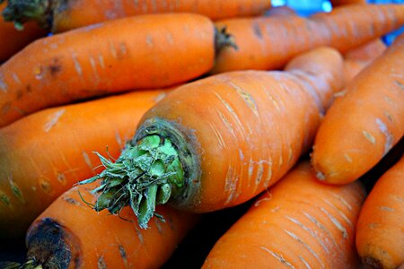 Root vegetable fresh food
