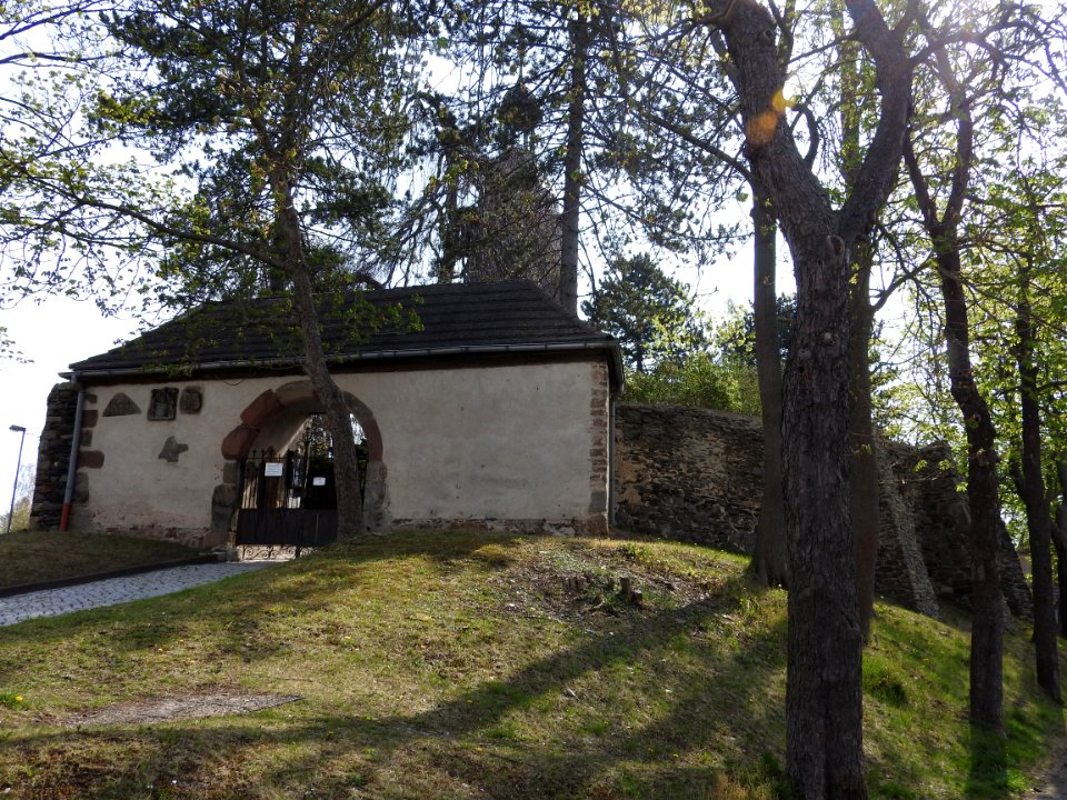 Cemetery Triptis 01