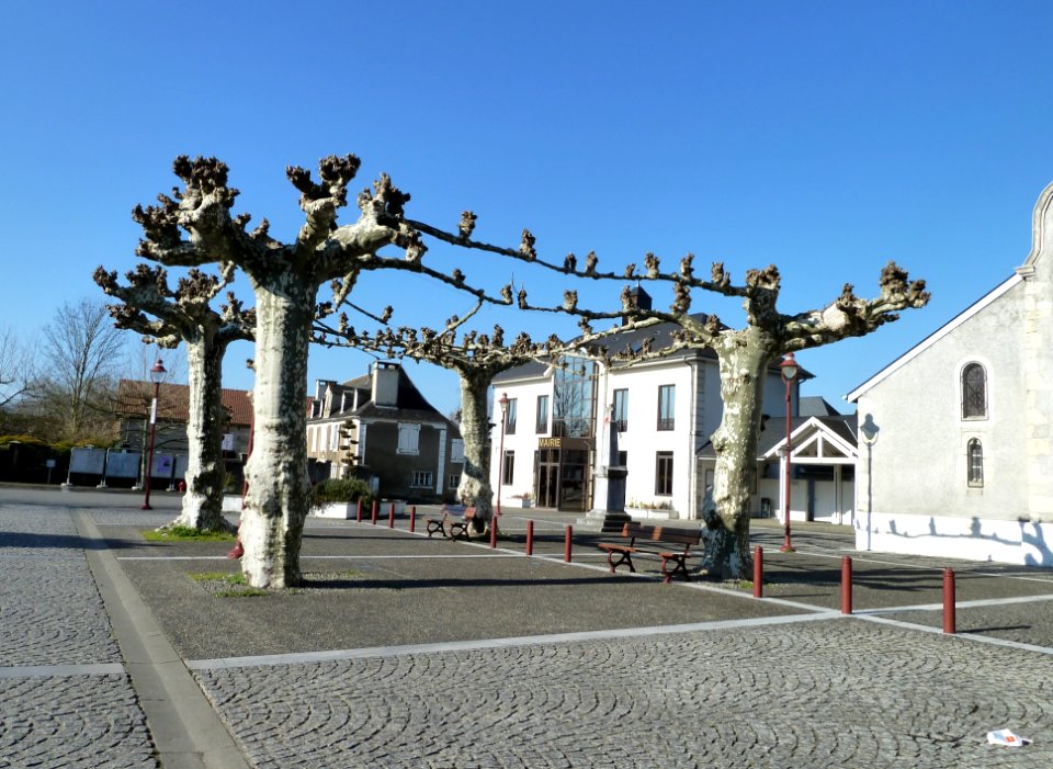 Centre de Denguin vue 2