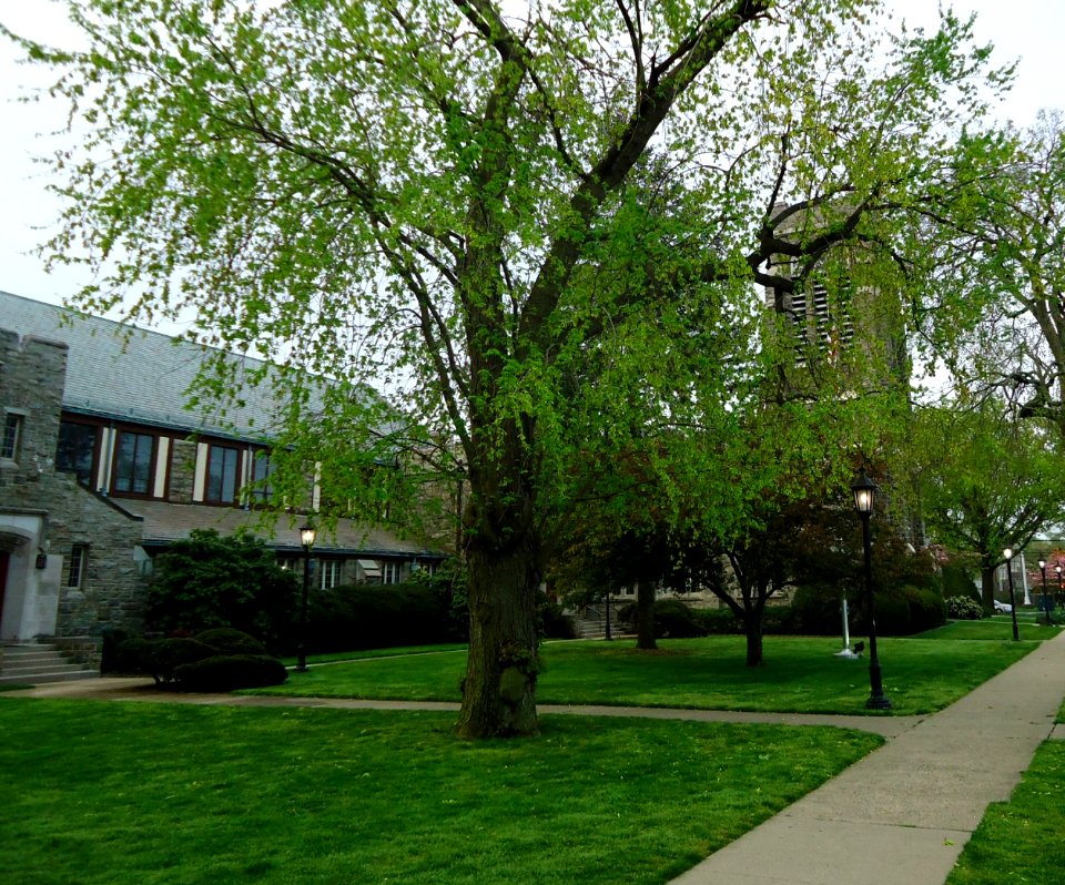 Central Presbyterian Church in Summit NJ 2