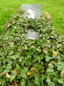 Cemetery Chursdorf, Dittersdorf 02