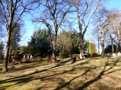 Cemetery Pöllwitz 3 photo