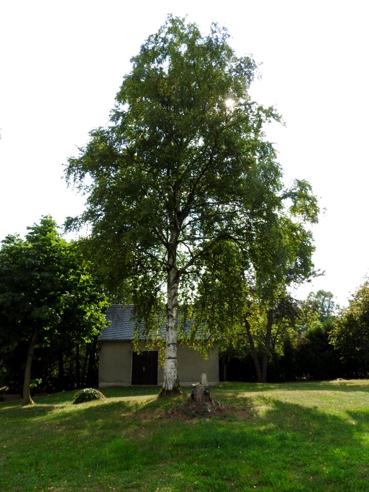 Cemetery Zoppoten 3