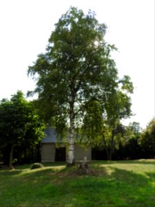 Cemetery Zoppoten 3