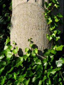 Cemetery Liebschütz, Remptendorf 6
