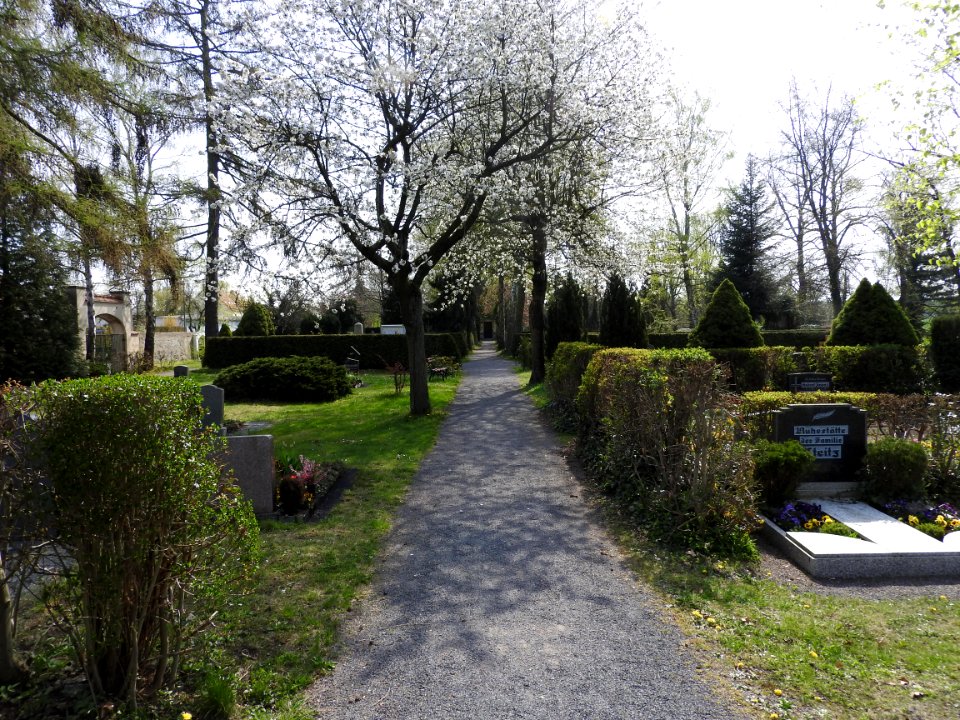 Cemetery Triptis 18