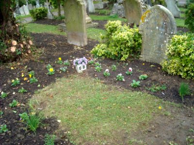 CemeteryDogGrave
