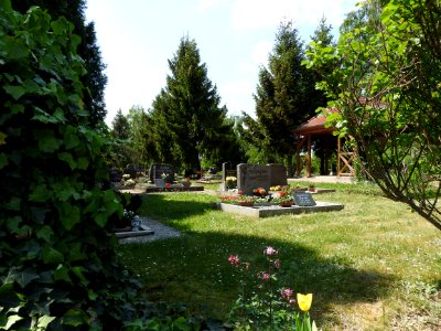 Cemetery Mannstedt 4 photo