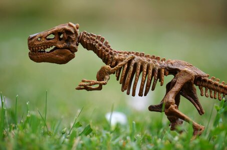 Rex toy grass