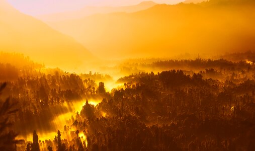 Indonesia forest landscape photo