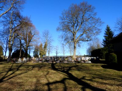 Cemetery Pöllwitz 2 photo