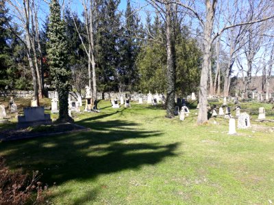 Cemetery Espenfeld