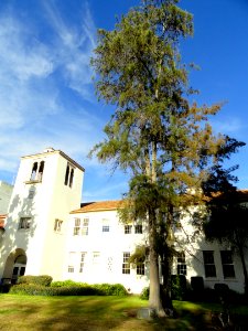 Central Classroom Building (San José State University) - DSC03925