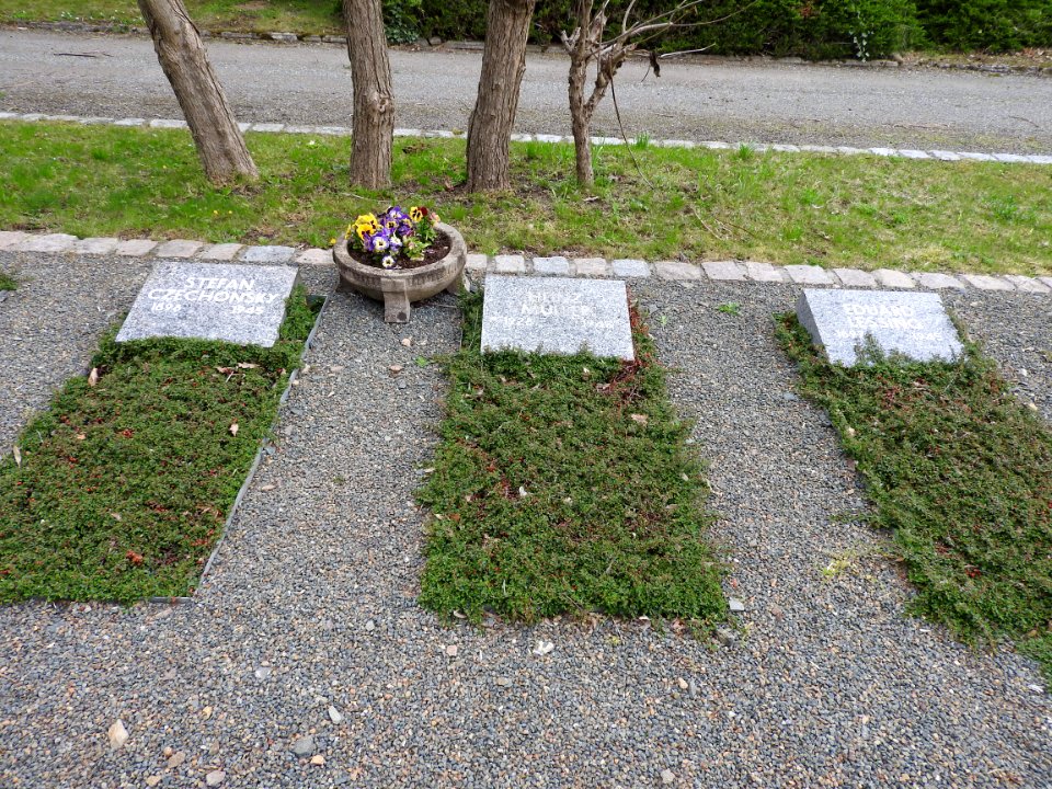 Cemetery Weida 30