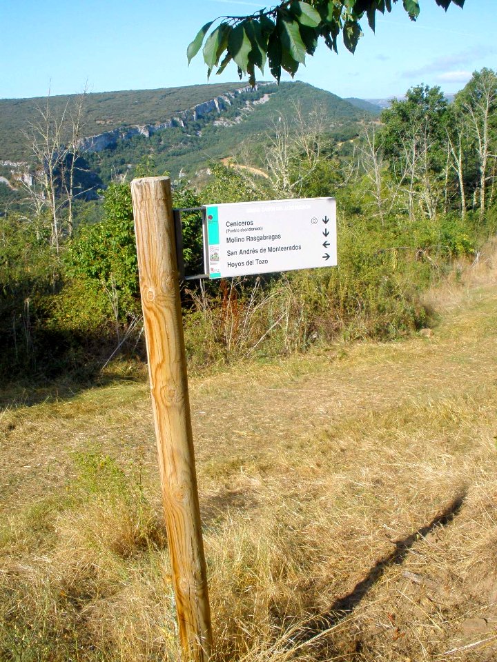 Ceniceros 1