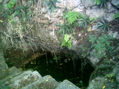 Cenote del Parque de Cholul, Yucatán (03) photo