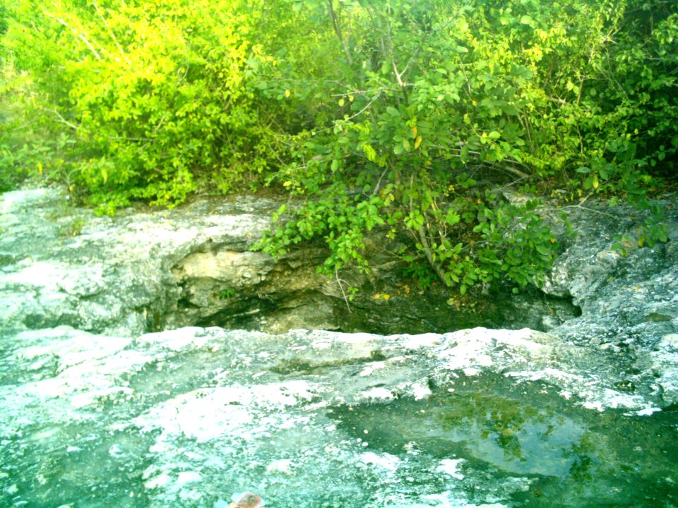Cenote de Sierra Papacal, Yucatán (06)