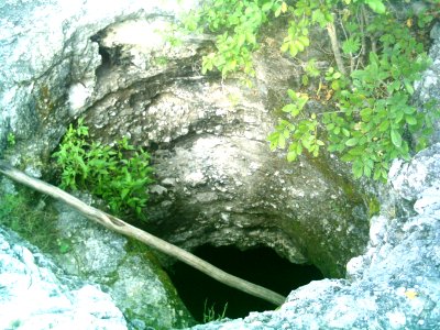 Cenote de Sierra Papacal, Yucatán (03)