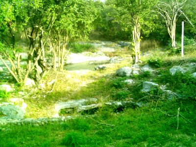 Cenote Chen Ha (12)