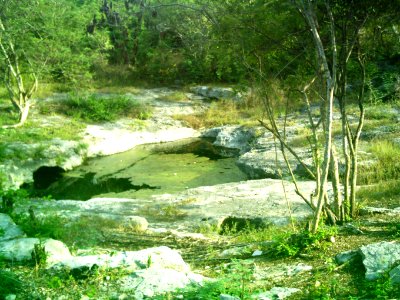 Cenote Chen Ha (06) photo