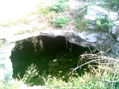 Cenote Chen Ha (03)