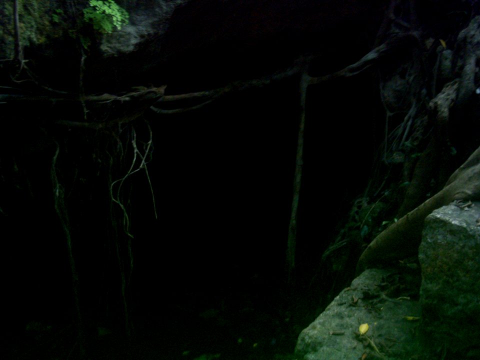 Cenote del Parque de Cholul, Yucatán (06)