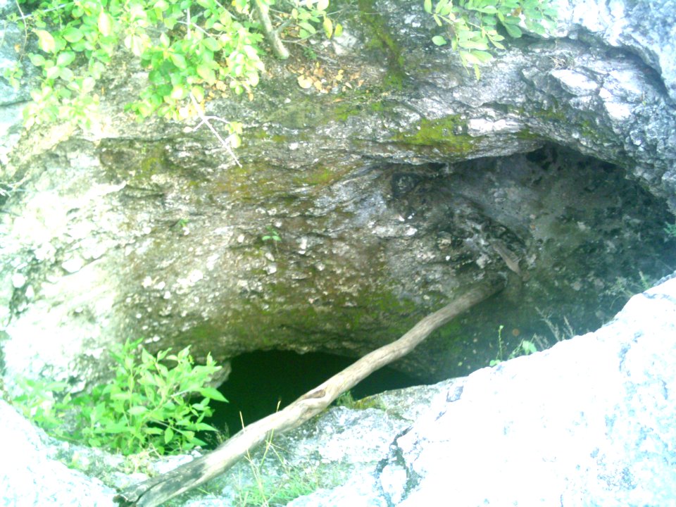 Cenote de Sierra Papacal, Yucatán (07)