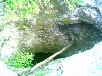 Cenote de Sierra Papacal, Yucatán (07)