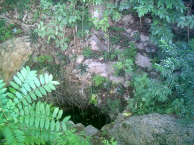 Cenote del Parque de Cholul, Yucatán (02) photo