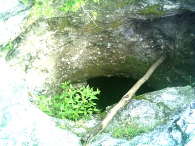 Cenote de Sierra Papacal, Yucatán (02)