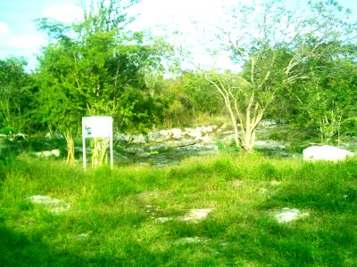 Cenote Chen Ha (14)