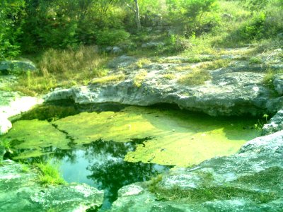 Cenote Chen Ha (10)