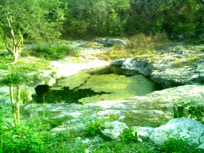 Cenote Chen Ha (07) photo