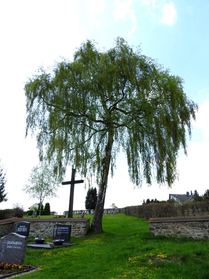 Cemetery Gräfenwarth 08