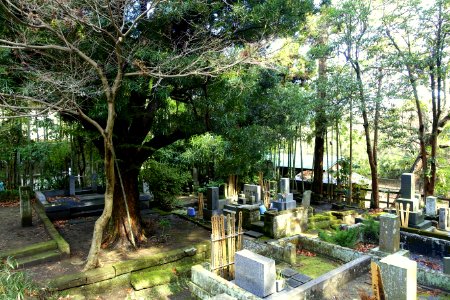 Cemetery - Jufukuji - Kamakura, Kanagawa, Japan - DSC08054