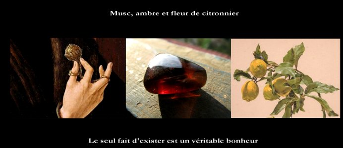Cendrars Musc ambre et fleur de citronnier
