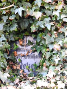 Cemetery Gräfenwarth 07