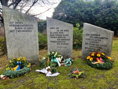 Cemetery Ilmenau 35