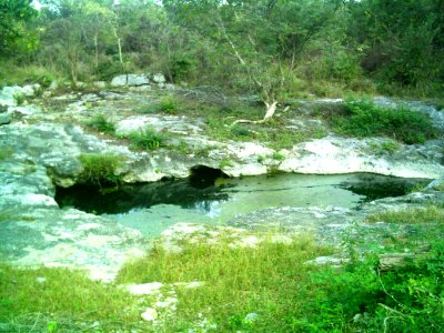 Cenote Chen Ha (02)